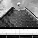 12 Matthias Frank Kontakt